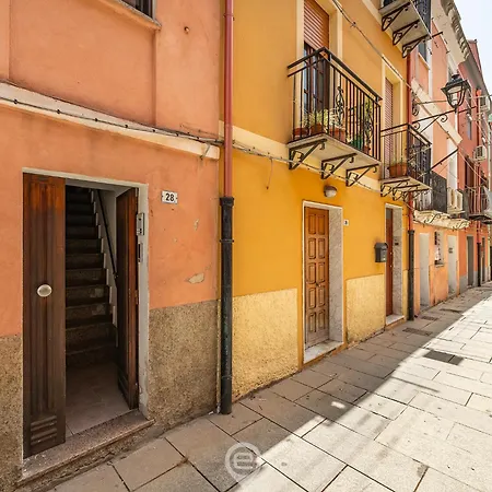 Daire Corner - Nicola Iglesias